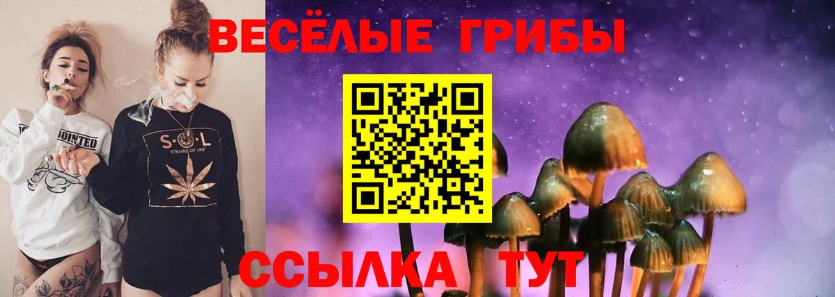 Псилоцибиновые грибы Cubensis  Вход с VPN  Касимов 